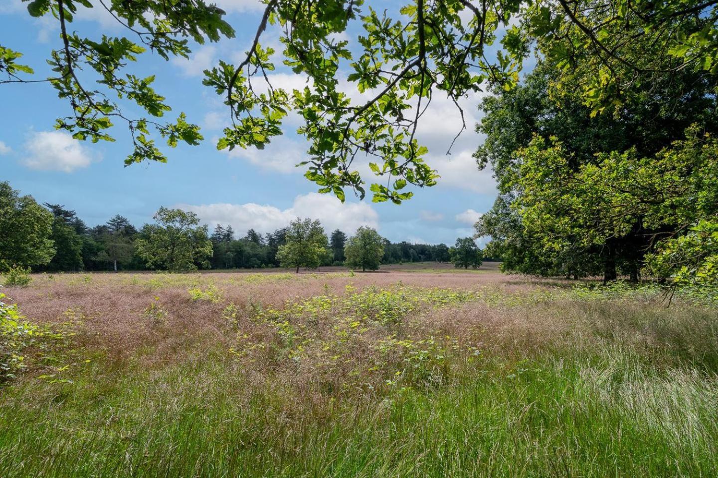 42 'vuursteenberg' Bospark Ijsselheide Zwolle Apartment Hattemerbroek